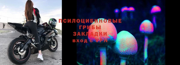 индика Нея