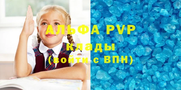 индика Нея