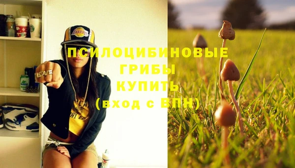 спайс Алексин